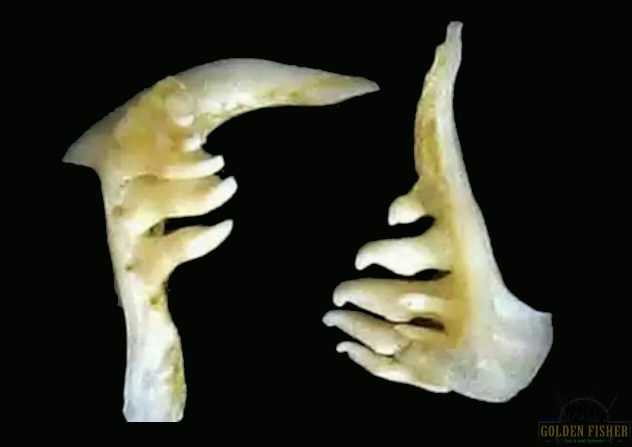 پرسش و پاسخ (شماره 119)