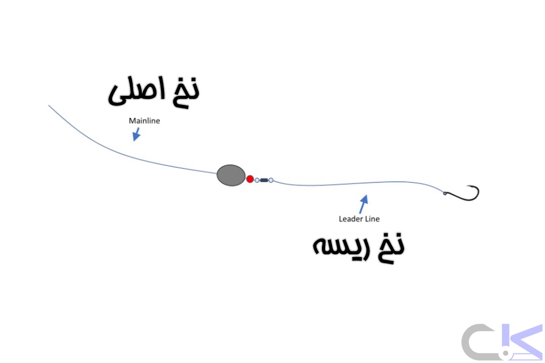 پرسش و پاسخ (شماره 156)
