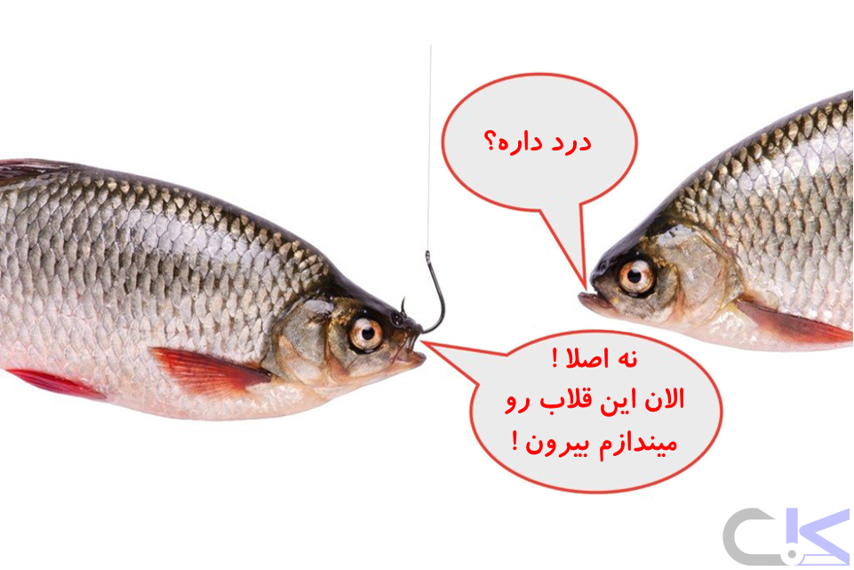 باقی ماندن قلاب یا طعمه مصنوعی در دهان ماهی