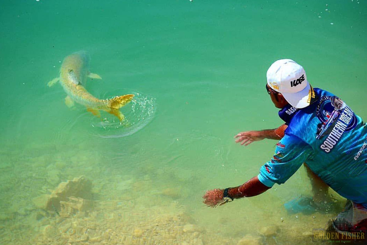 نکاتی مهم برای ثبت ویدئویی زیبا و جذاب در ماهیگیری
