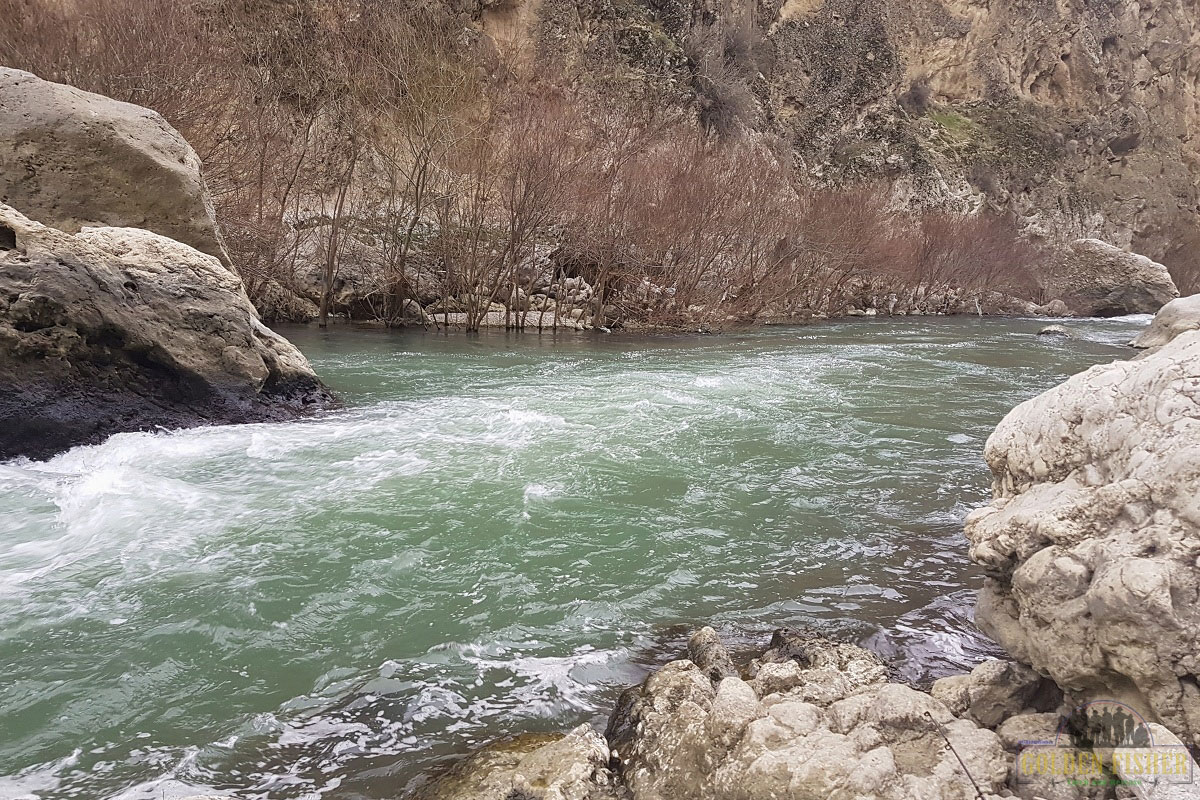 چگونه مکان ماهی قزل آلا را در رودخانه شناسایی کنیم
