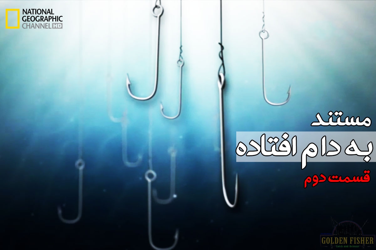 مستند به دام افتاده - قسمت دوم