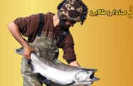 صندلی طلایی : جناب ابراهیم عابدی (ابی فیشر)