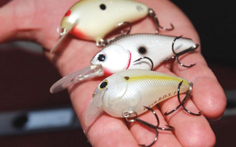 چگونه از یک ماهی‌‌نمای جنبشی (Crankbait) استفاده کنیم