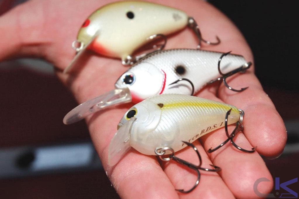چگونه از یک ماهی‌‌نمای جنبشی (Crankbait) استفاده کنیم