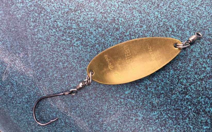 معرفی انواع قاشقک (Spoon)