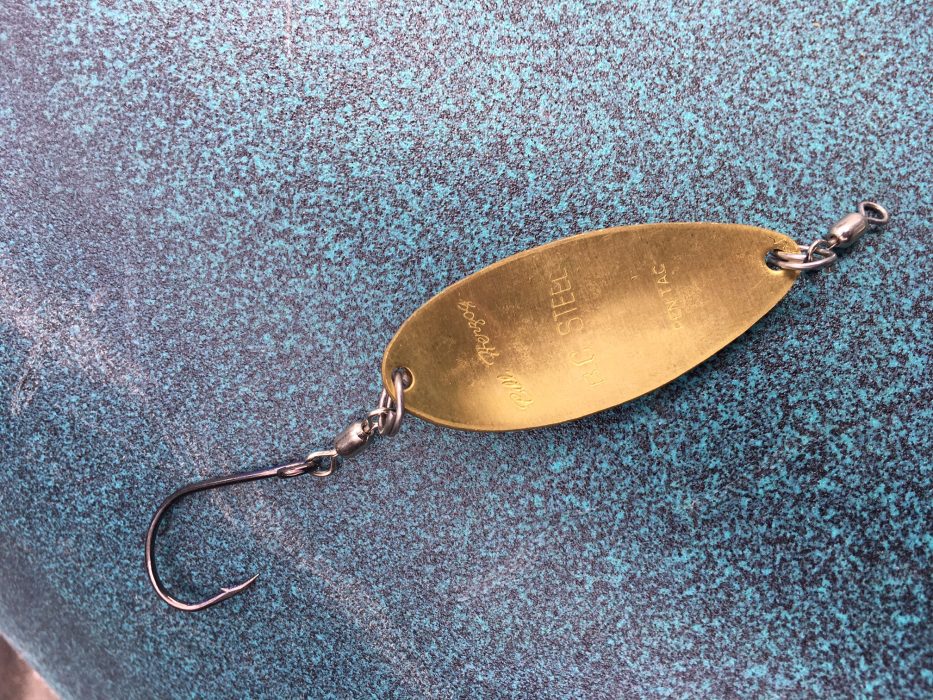 معرفی انواع قاشقک (Spoon)